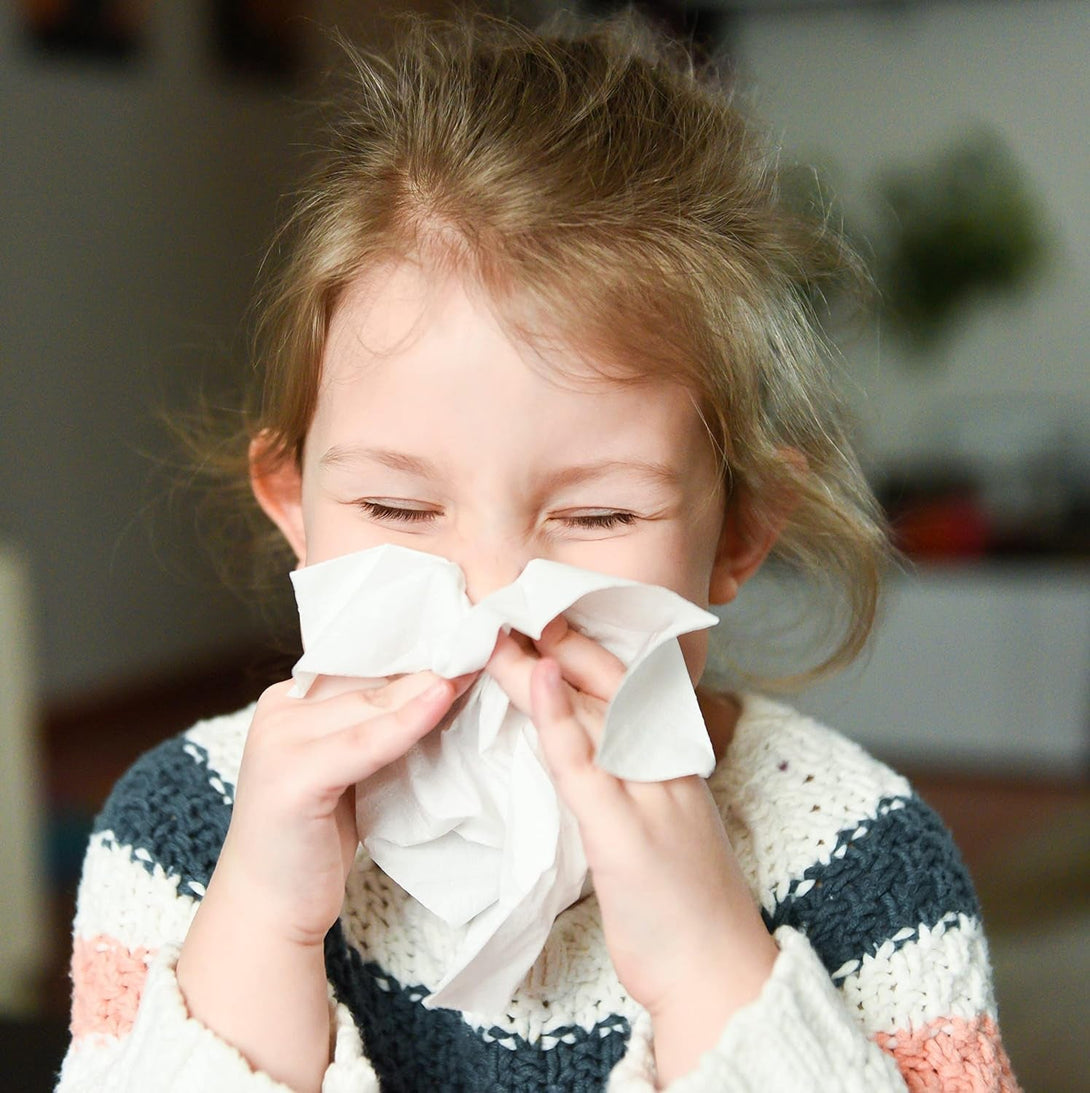 Amazon Basics Facial Tissue, 2-Ply, 160 Tissues per Box, 4 Boxes (640 Total) (Previously Solimo)