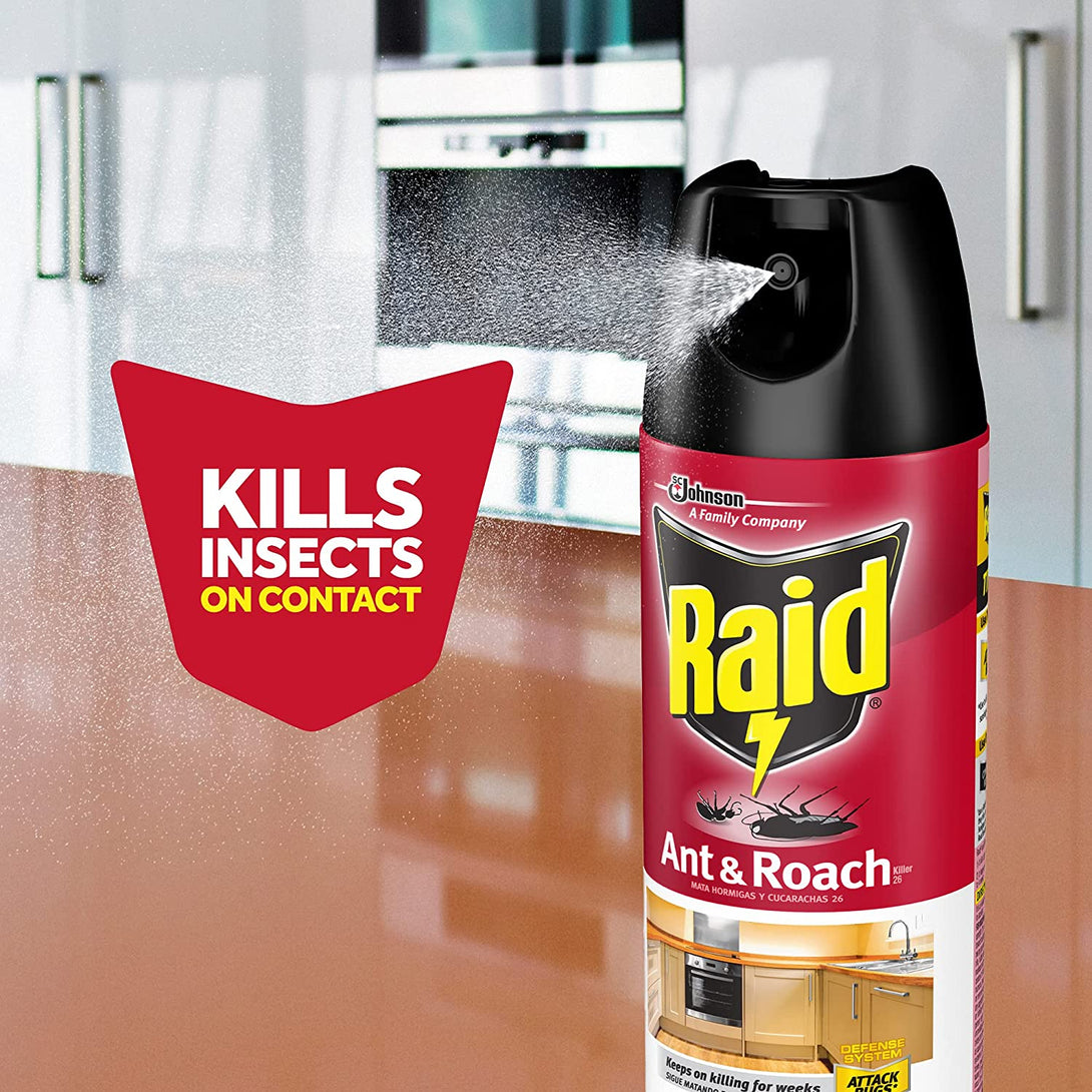 Raid® Ant & Roach Killer Spray, Fragrance-Free, 17.5 Oz, Pack of 2