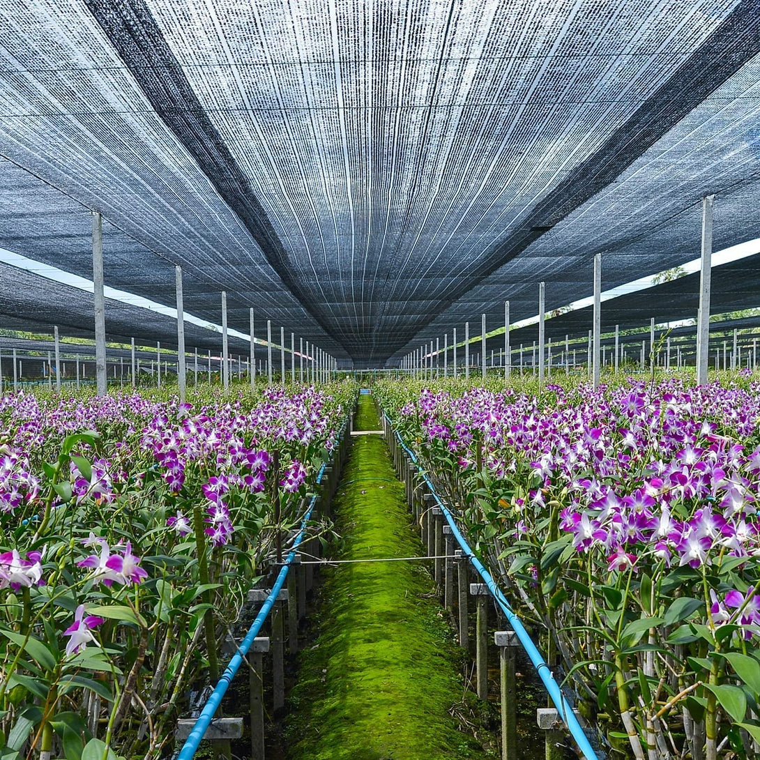 70% Garden Shade Cloth, 10X20Ft HDPE Mesh Tarp with Upgraded Grommets, Keten Uv-Resistant Outdoor Sun Shades for Greenhouse, Garden, Patio Plants, Pergola