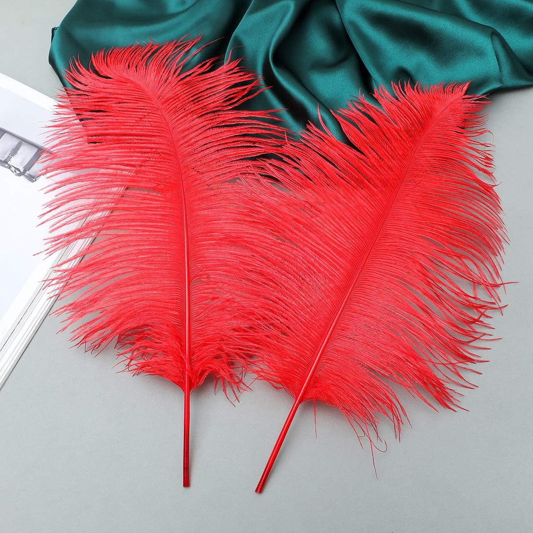 24Pcs Natural Bright Red Ostrich Feathers 10-12Inch (25-30Cm) for Wedding Party Centerpieces，Flower Arrangement and Home Decoration.