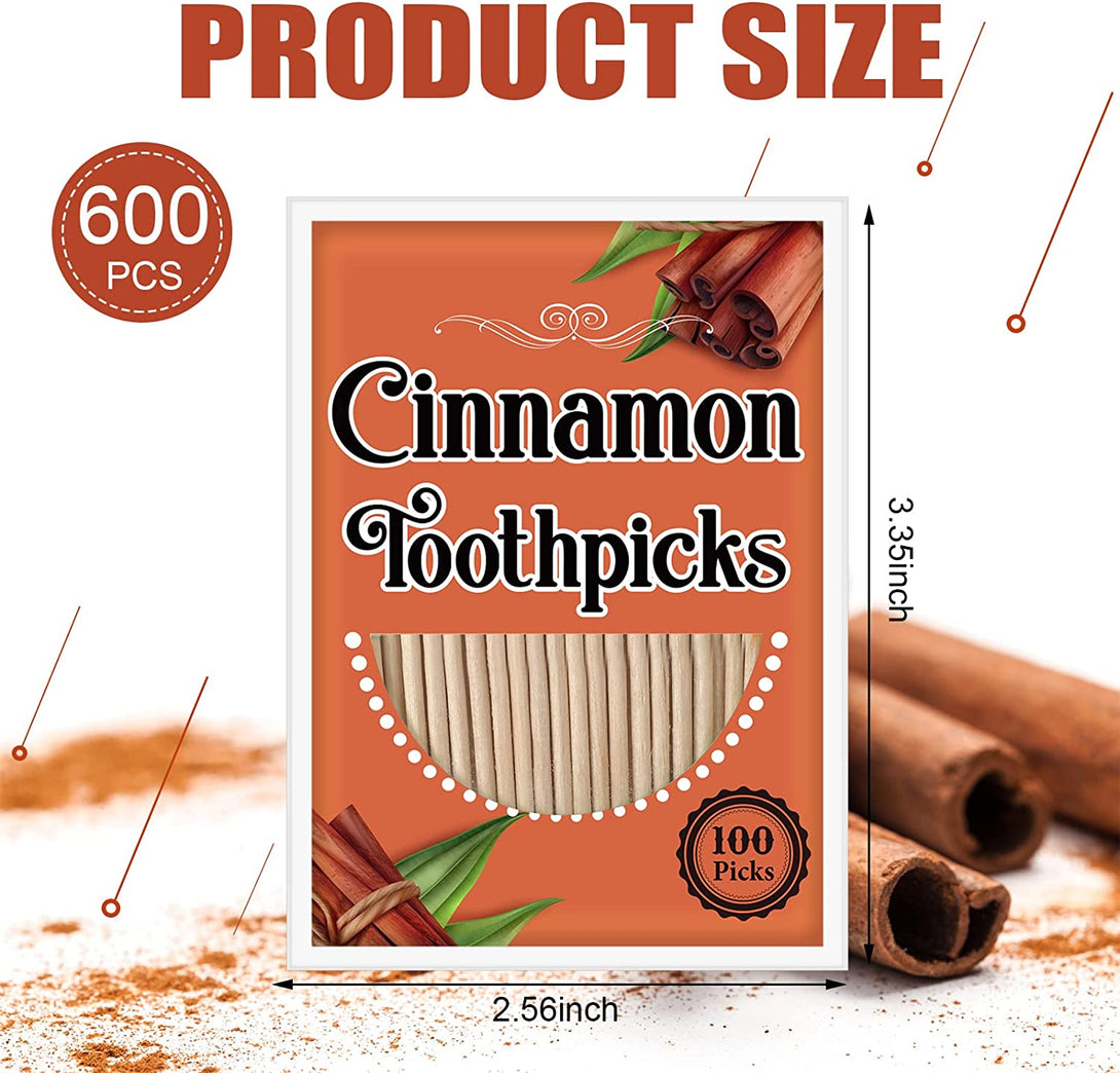 Irenare 600 Pcs Toothpick Cinnamon Wood Flavored Toothpicks Bulk Cinnamon Toothpicks for Adults Disposable Oral Hygiene Teeth Dental Care, 6 Pack