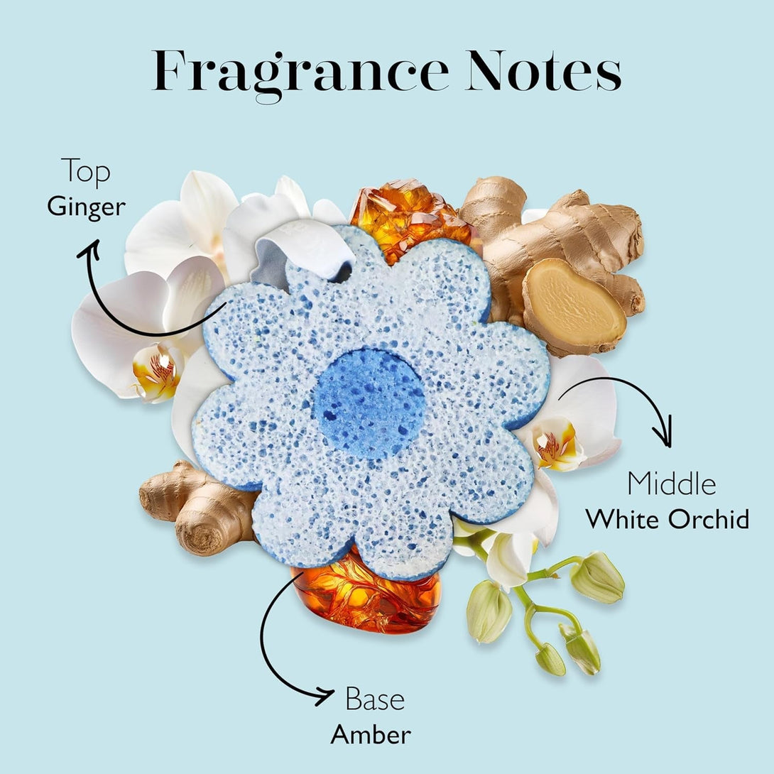 Spongellé White Ginger Hawaiian Buffer | Body Wash Infused Sponge with Awapuhi & Kukui Nut Oil | Exfoliates & Hydrates | 14+ Uses